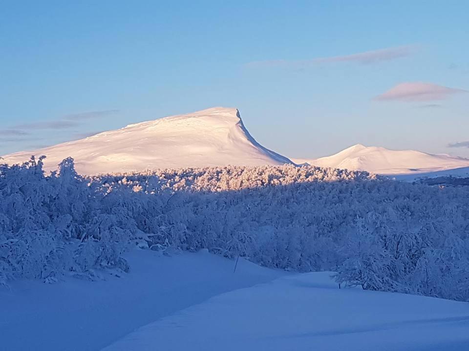 Bruksvallarna - Modern Fjaellstuga Med Panoramautsikt Och Wifi Ngoại thất bức ảnh
